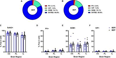 Reduced Medial Prefrontal Control of Palatable Food Consumption Is Associated With Binge Eating Proneness in Female Rats